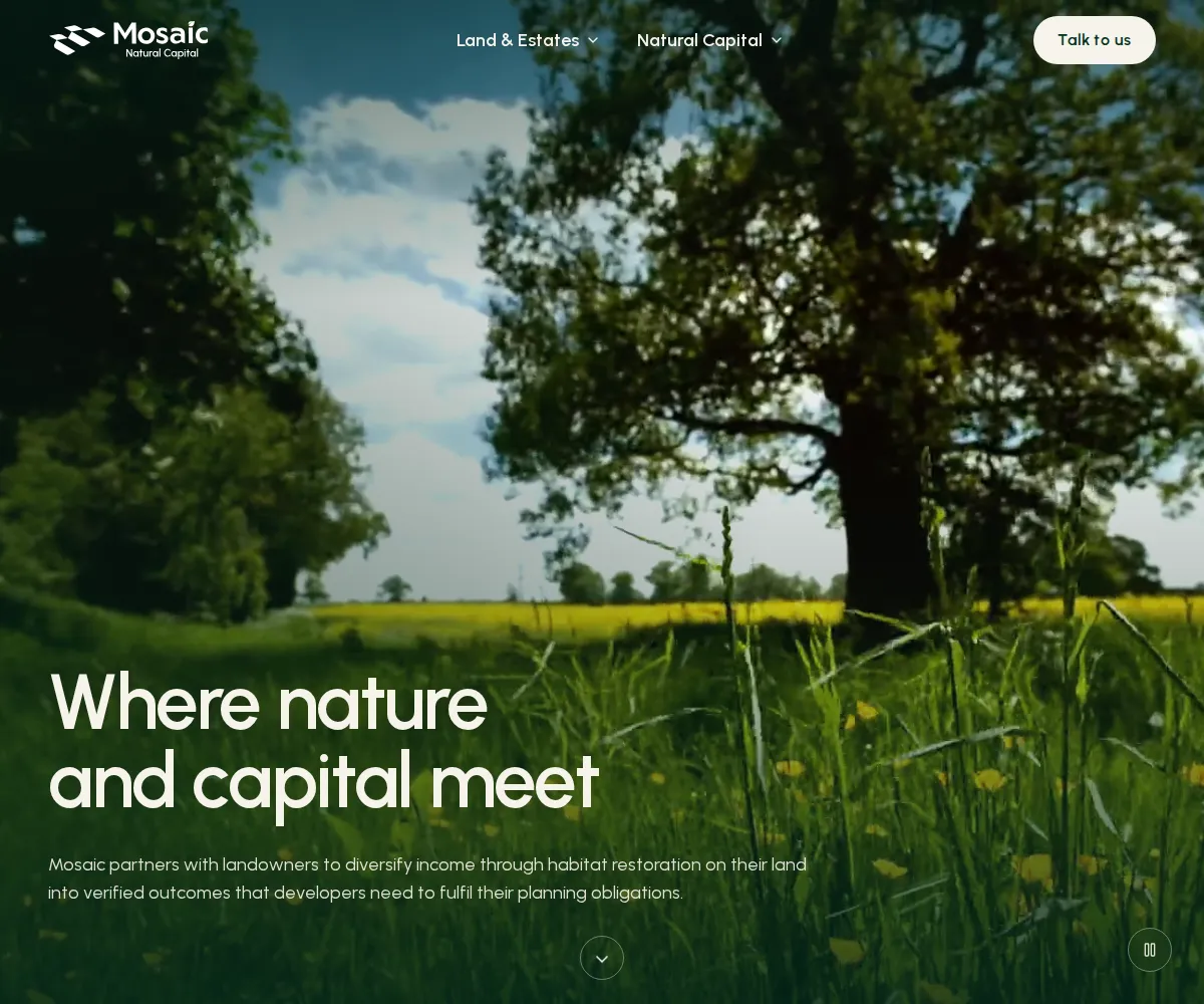 Mosaic Natural Capital